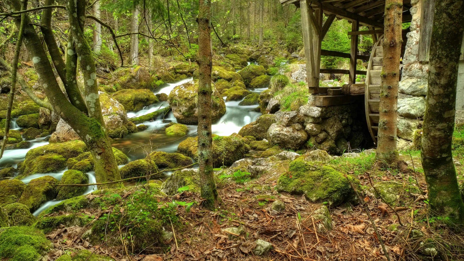 мельница, камни, лес
