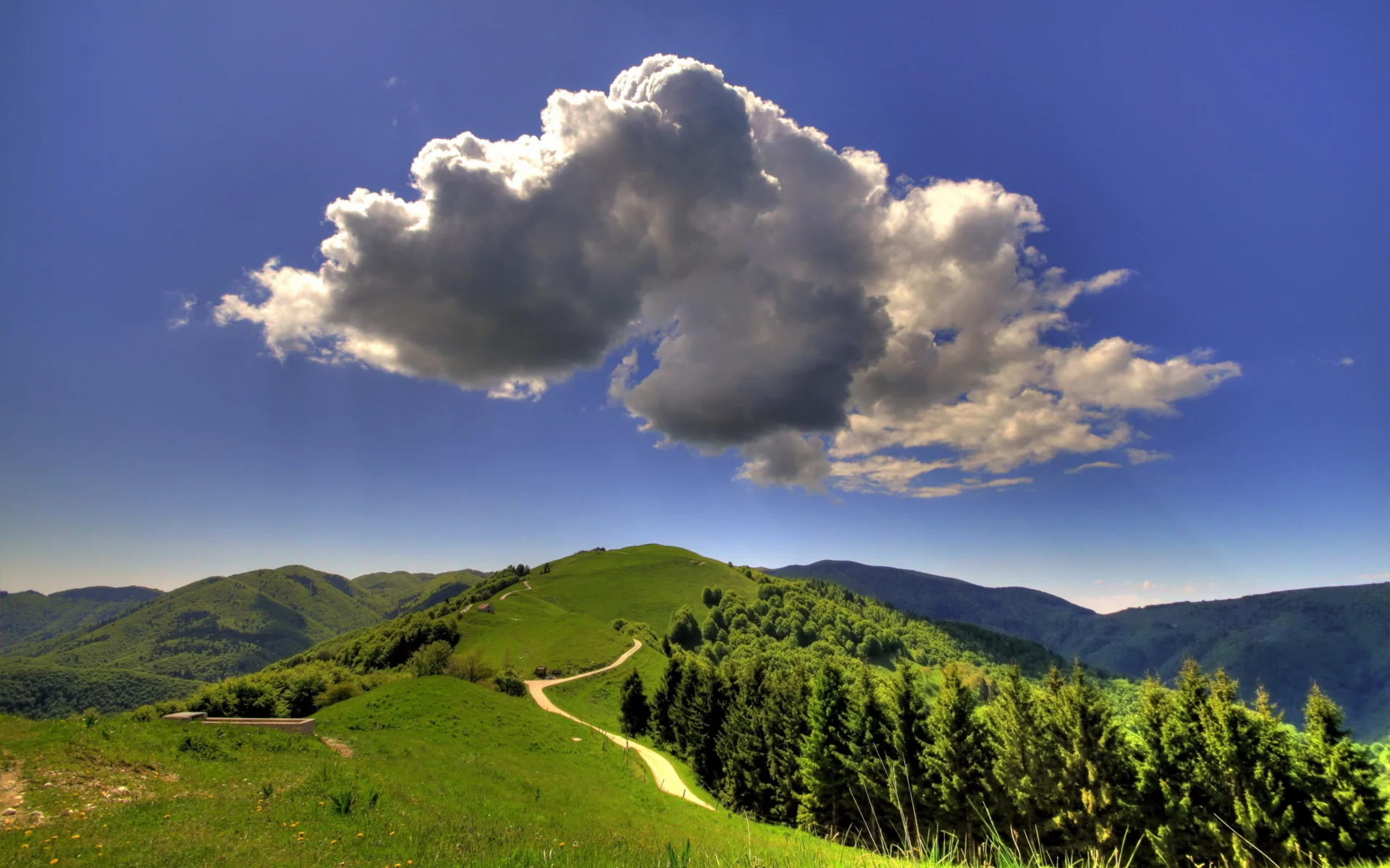 долина, деревья, небо, облака, солнце
