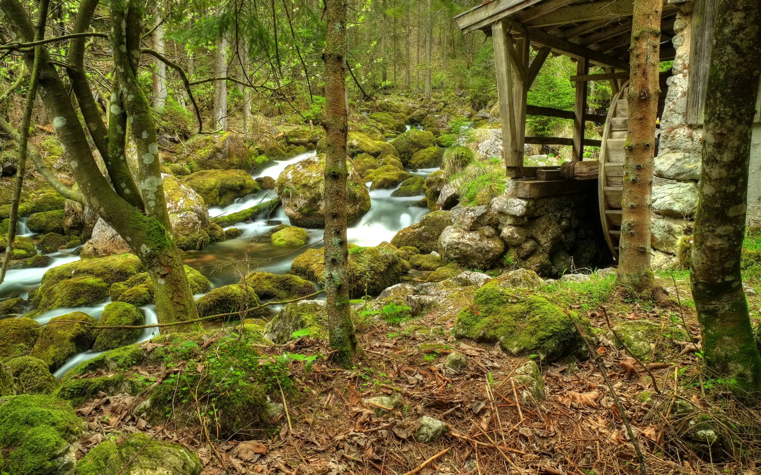 мельница, камни, лес