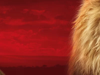 король лев, the lion king, 2019, симба, лев, взгляд, двое, львенок, детеныш, морда, голова, грива