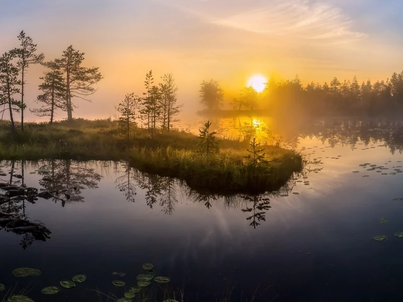 восход, деревья, вода