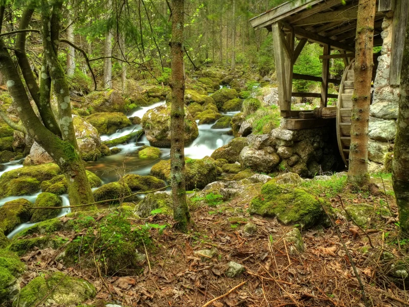 мельница, камни, лес
