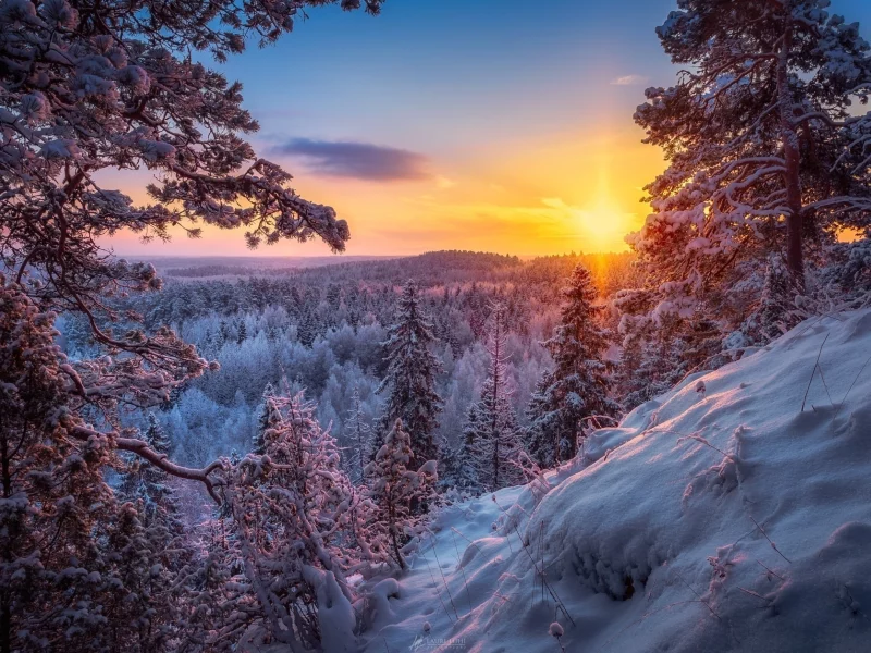 утро, рассвет, зима, снег