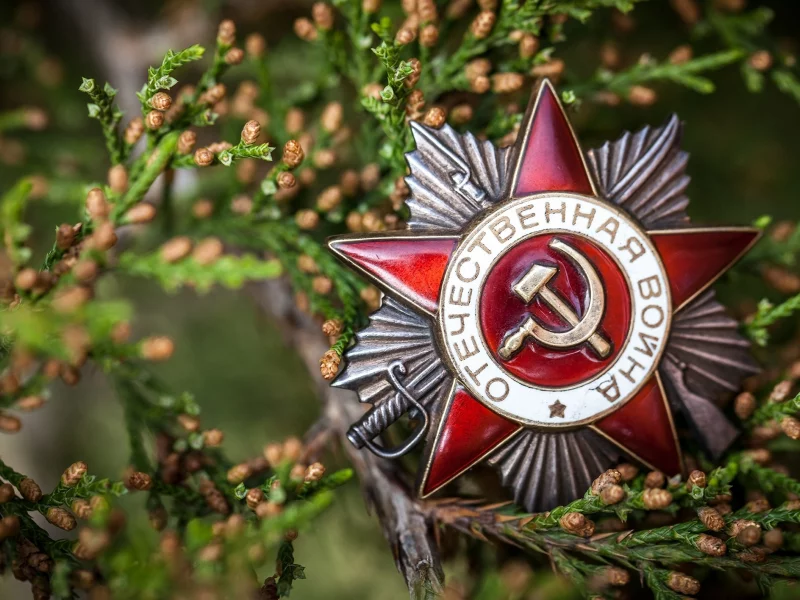 9 мая, орден
