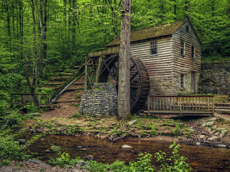 мельница, камни, лес