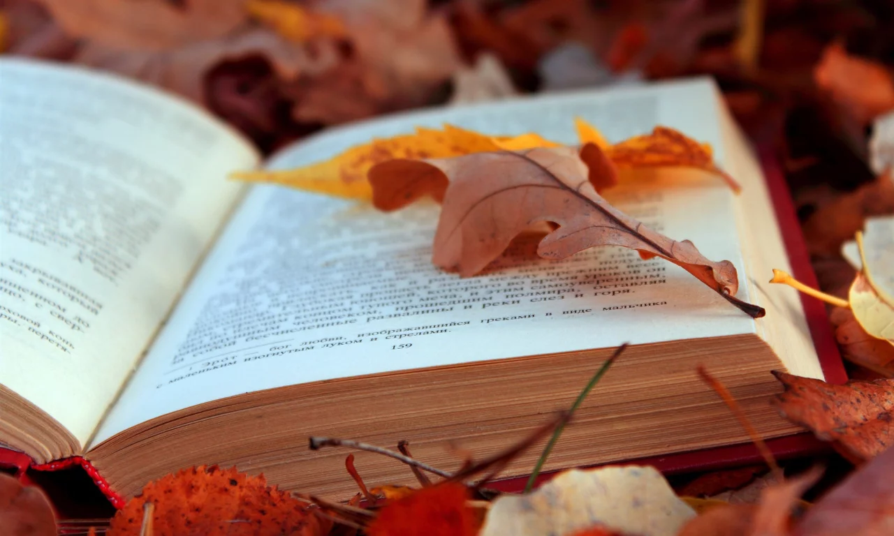 книга, листья, осень