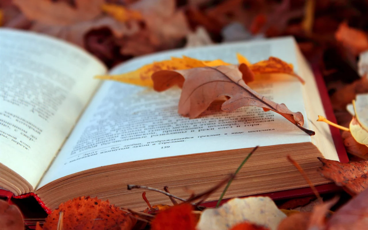 книга, листья, осень