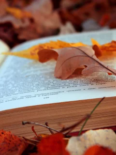 книга, листья, осень