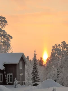 утро, восход, снег