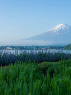 гора, река, деревья