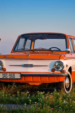 авто, запорожец, ушастый
