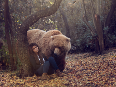медведь, лес, девушка