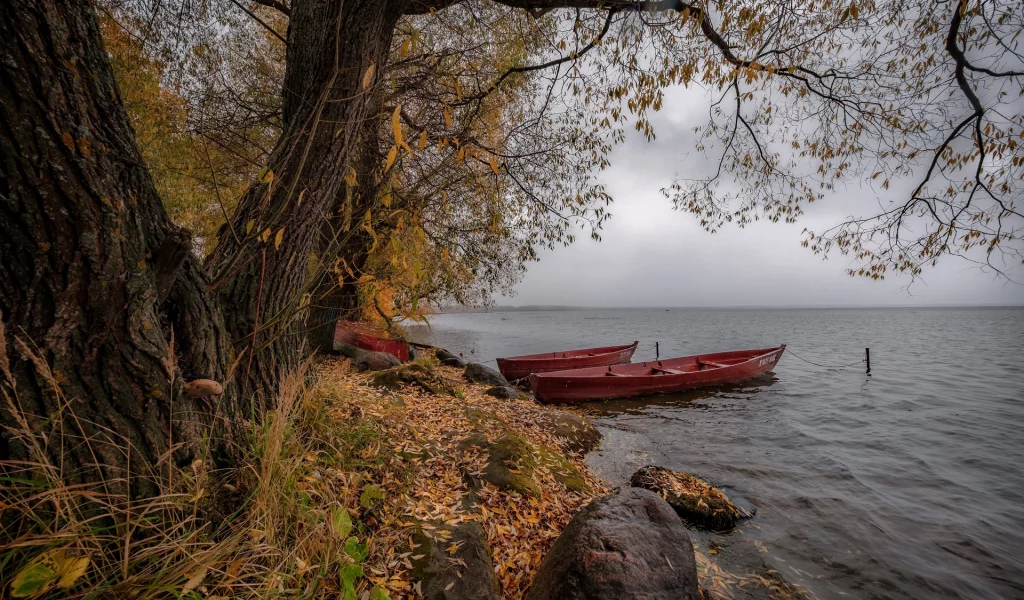 берег, лодки, вода