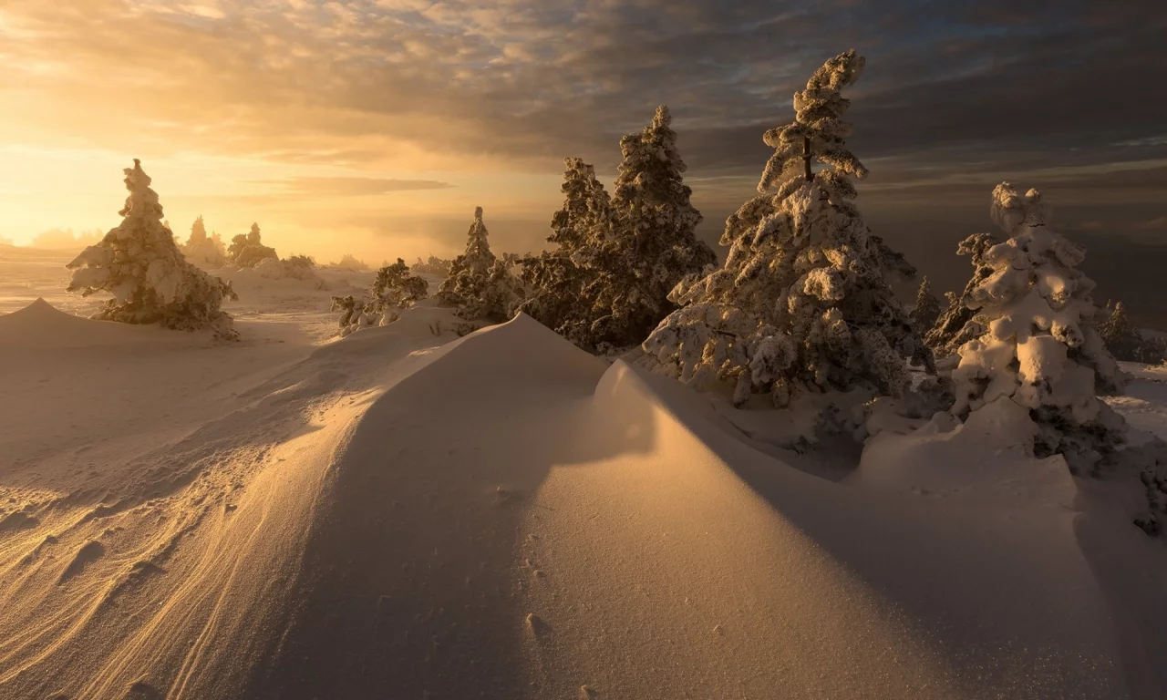 пейзаж, природа, красота