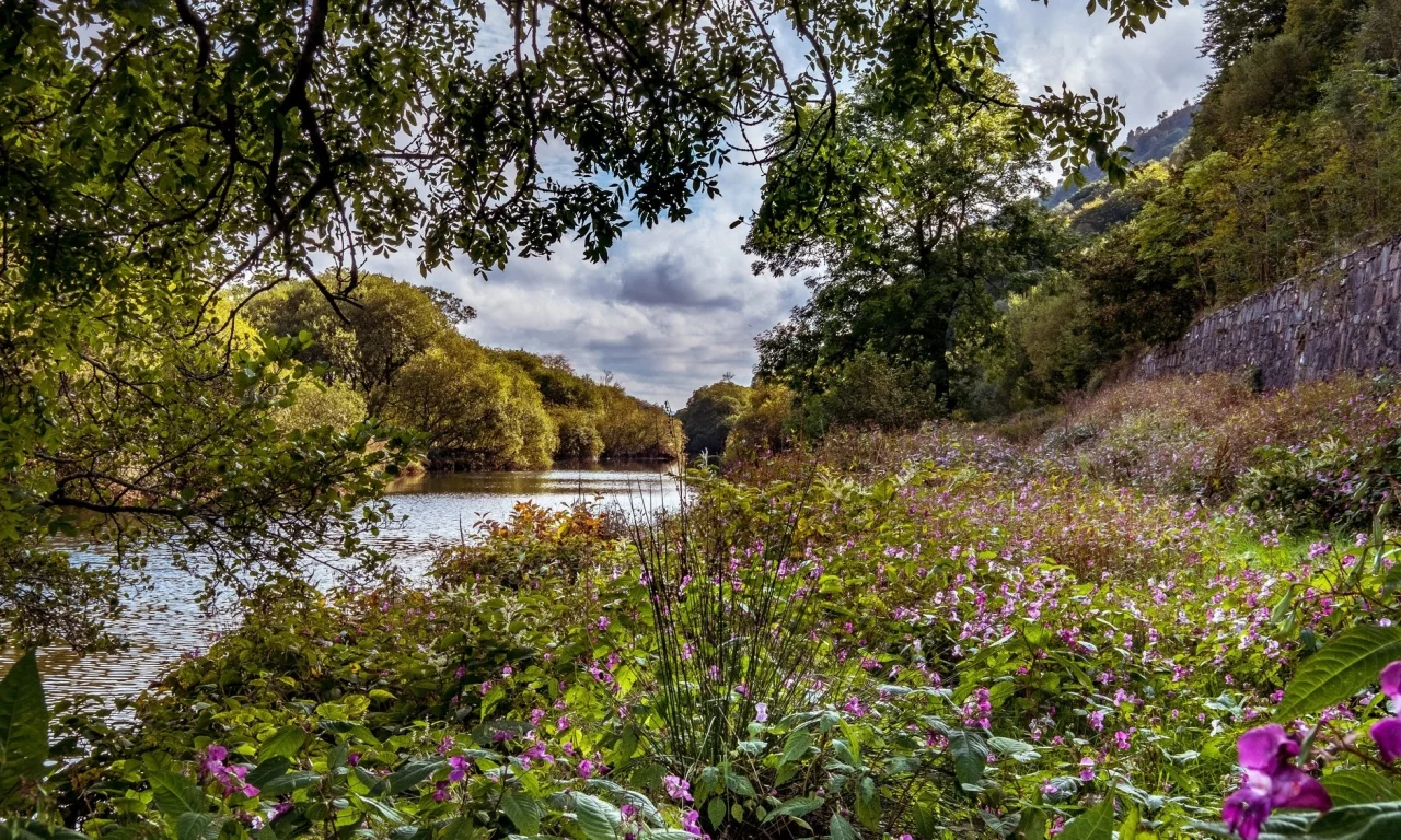 пейзаж, природа, красота
