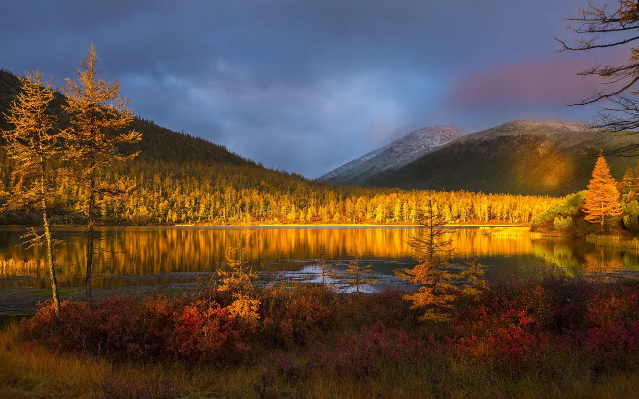 пейзаж, горы, лес, озеро, осень