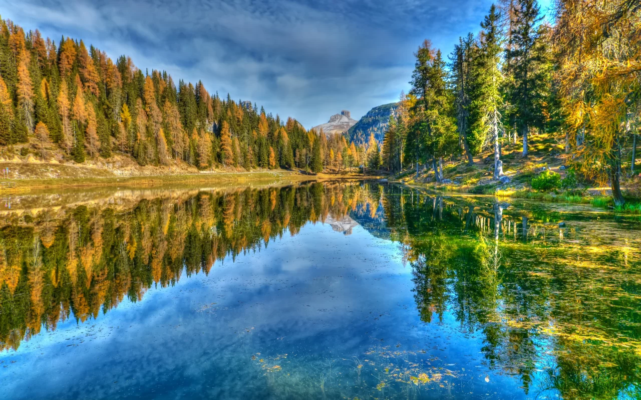 природа, лес, река, осень