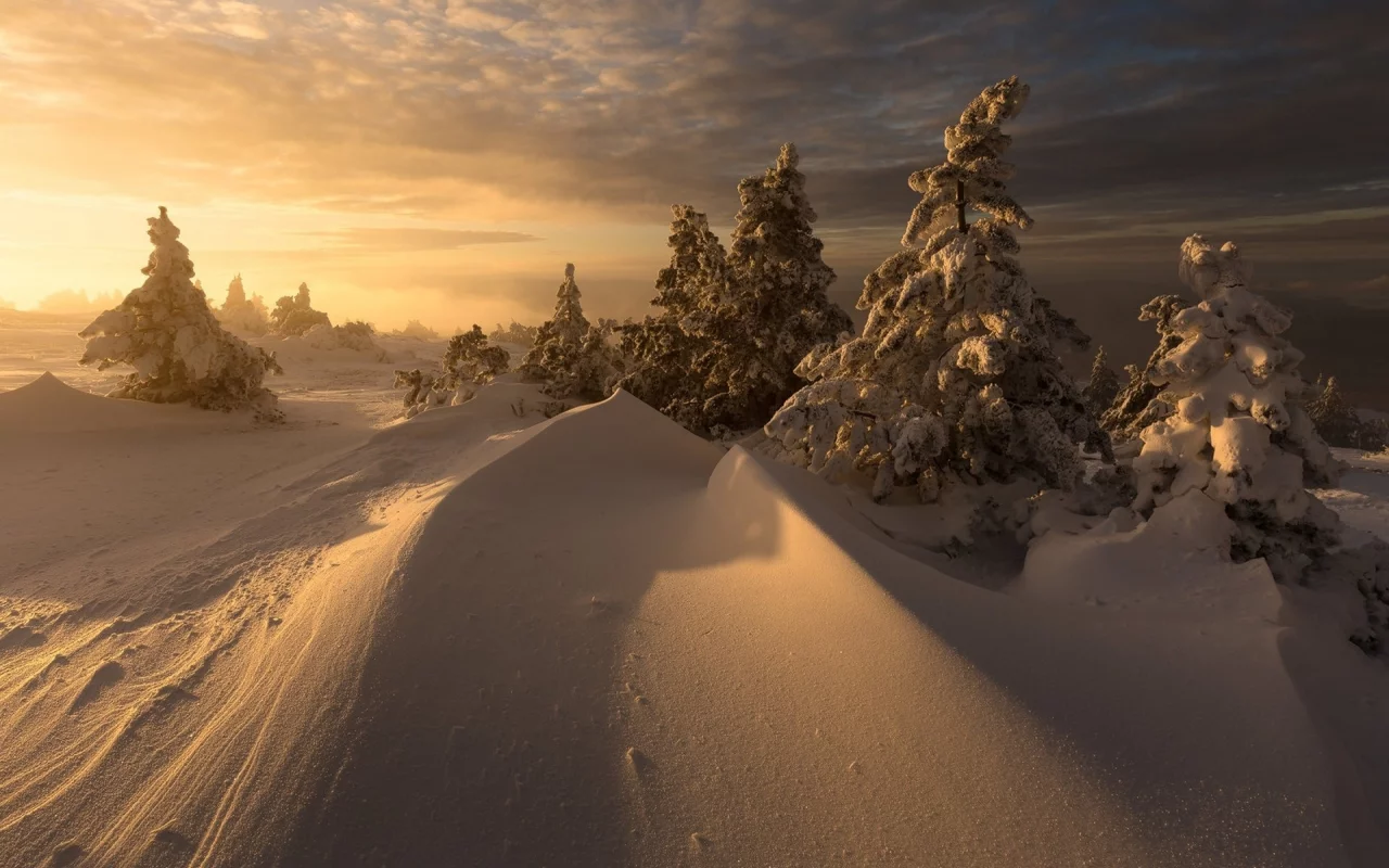 пейзаж, природа, красота