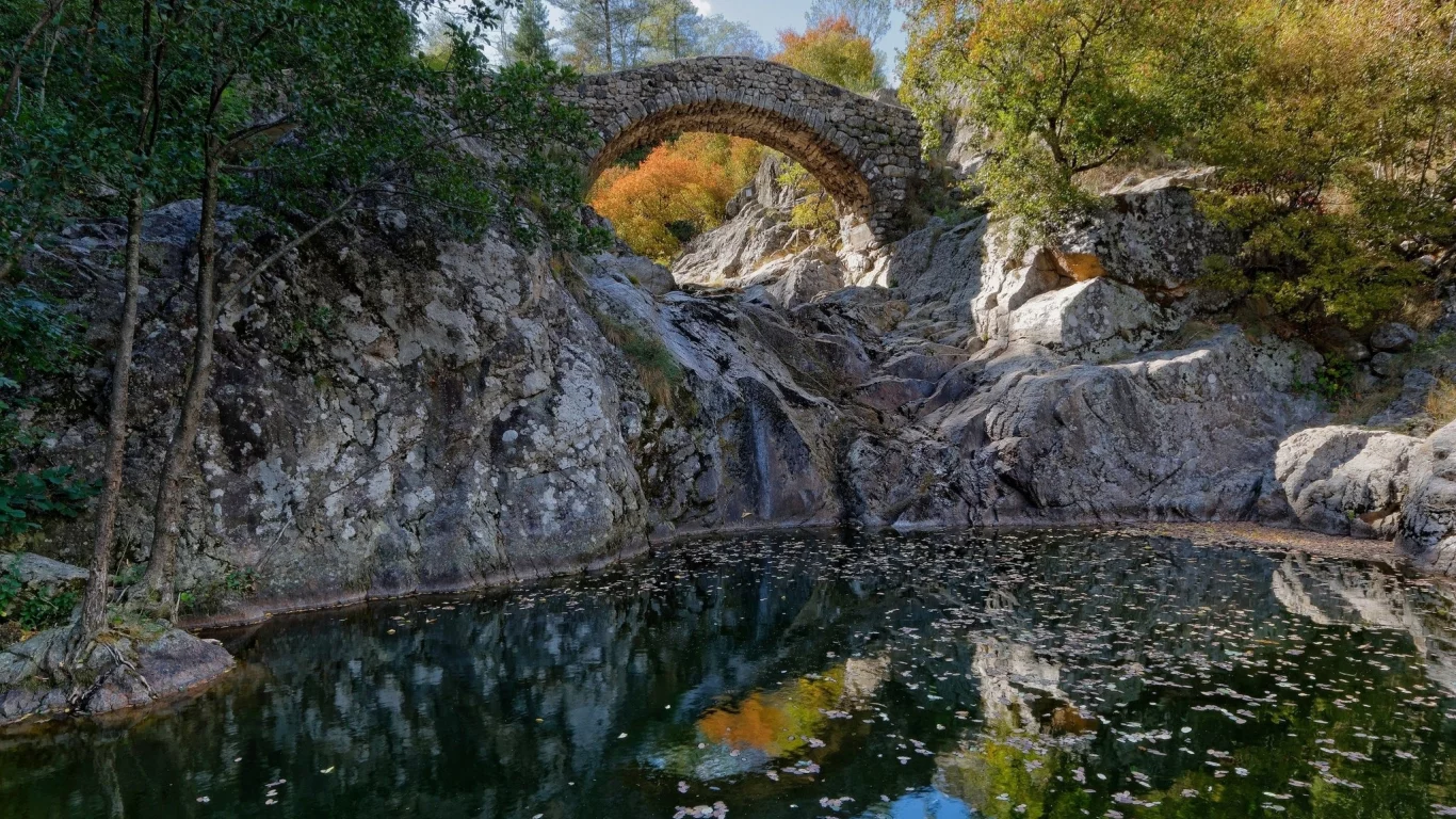 пейзаж, природа, красота