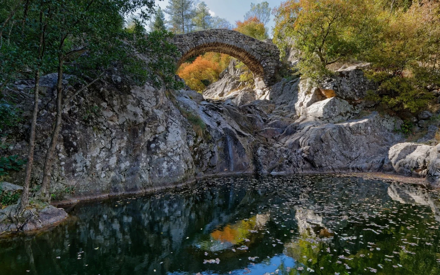пейзаж, природа, красота