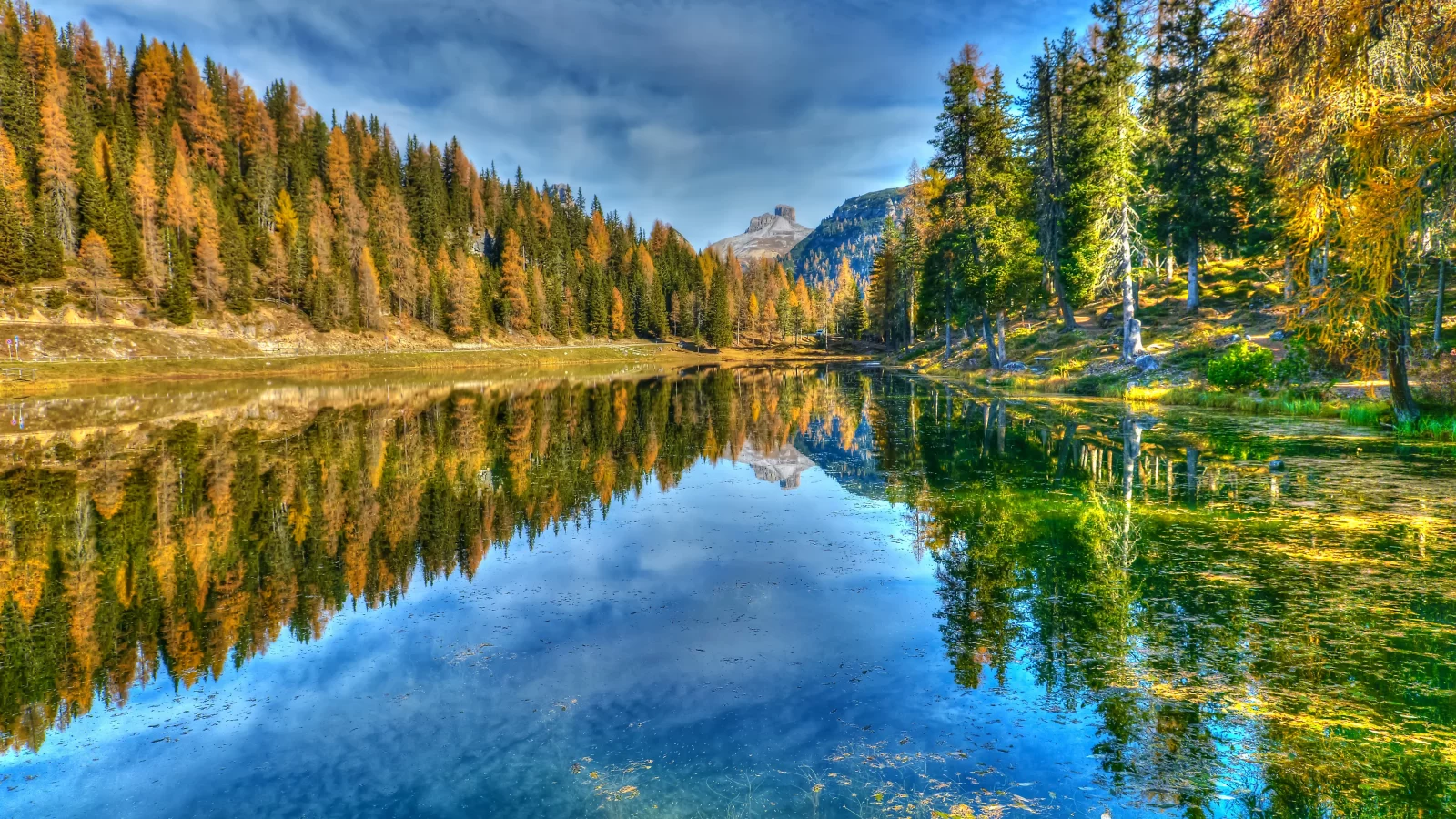 природа, лес, река, осень