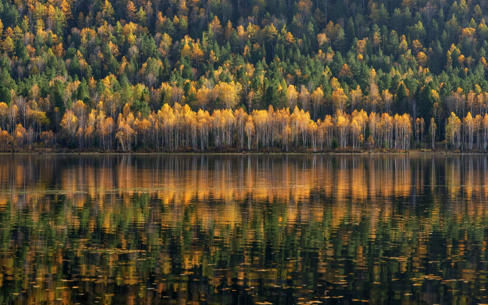 лес, озеро