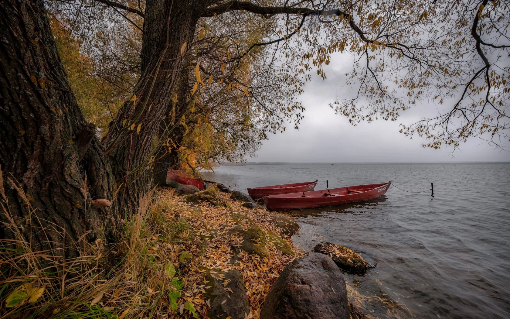 берег, лодки, вода