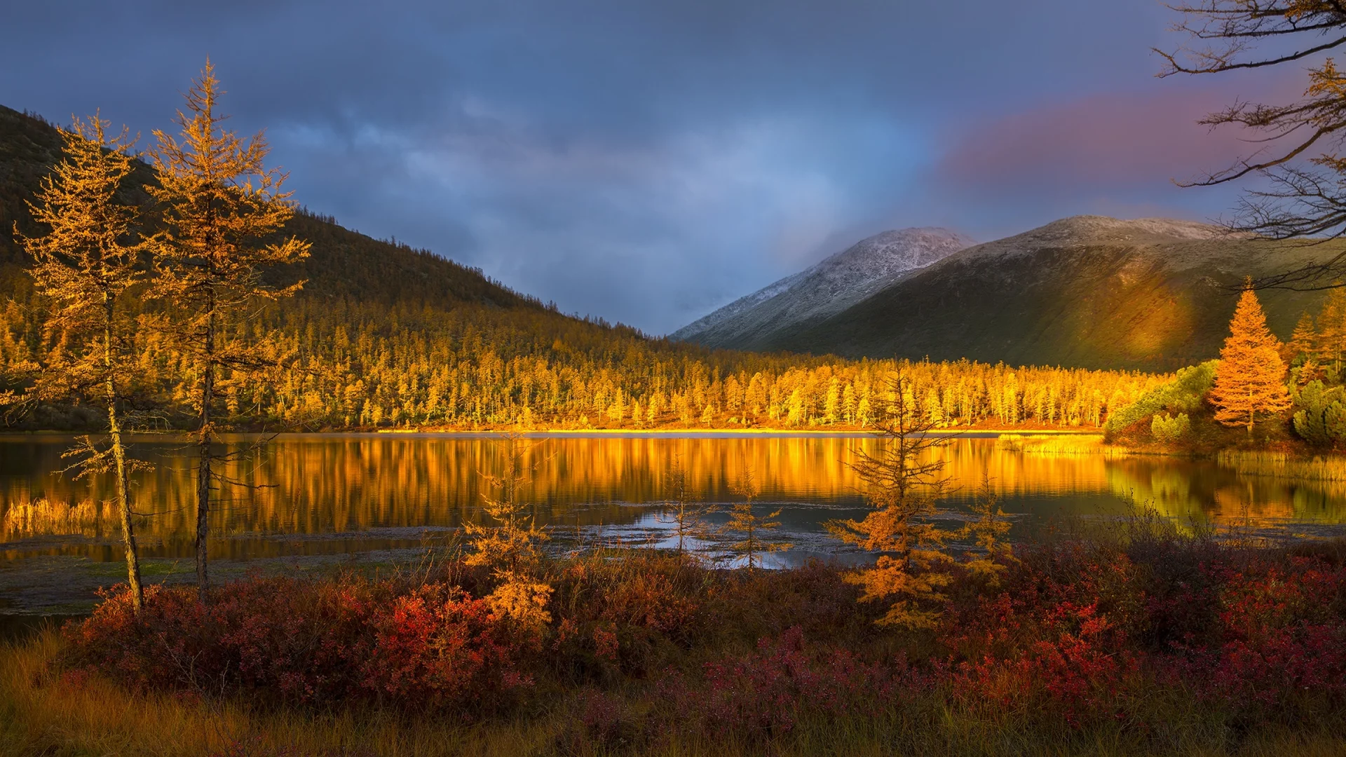 пейзаж, горы, лес, озеро, осень