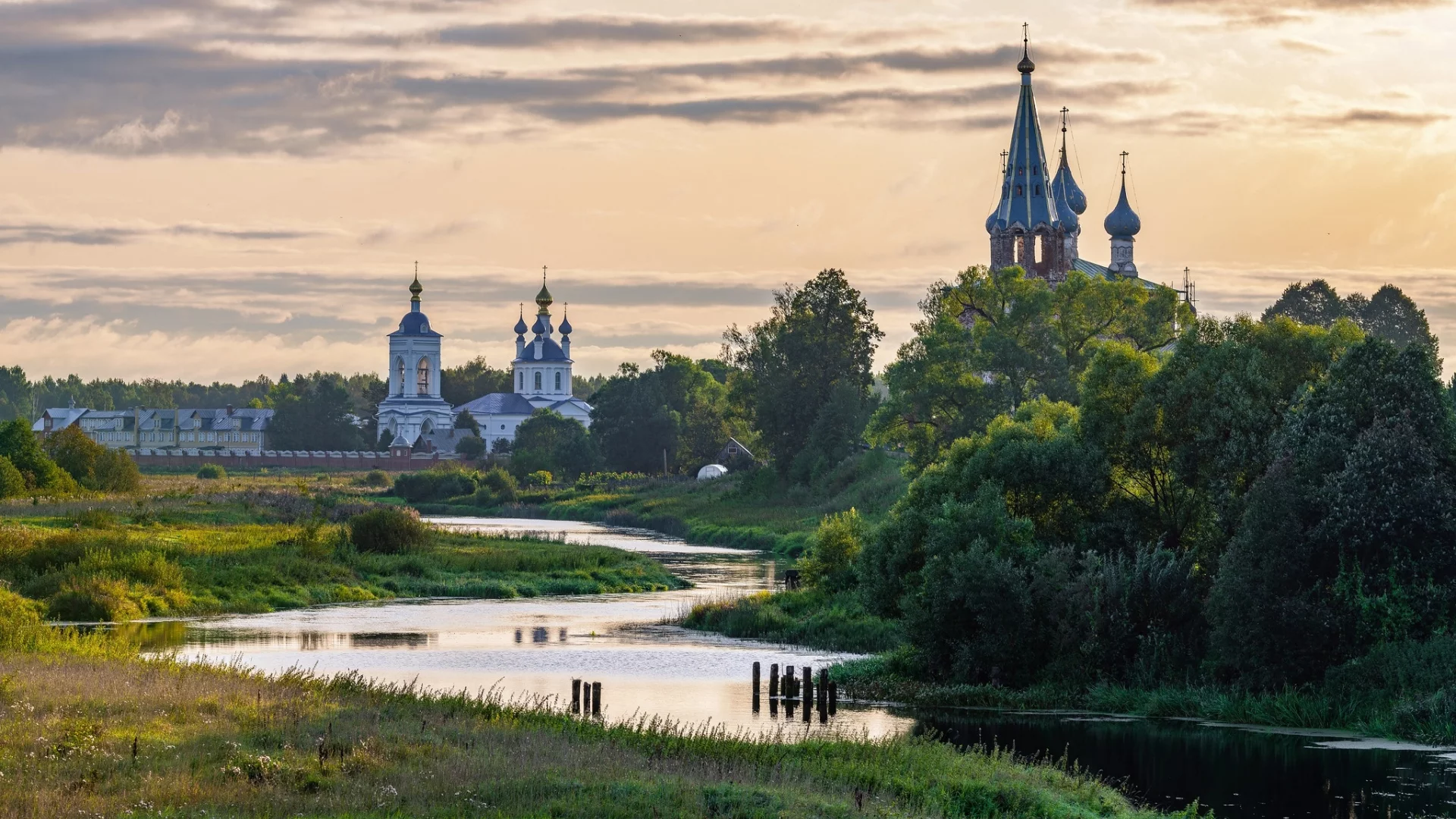 река, лес
