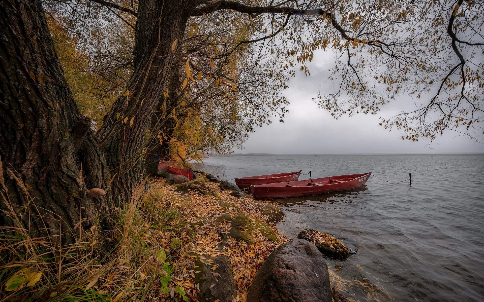 берег, лодки, вода