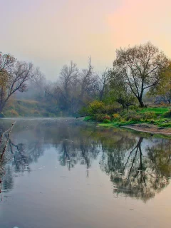 берега, тума