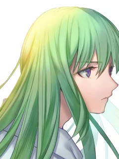 fate grand order, судьба великая кампания
