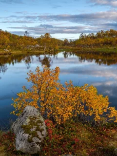 пейзаж, природа, красота