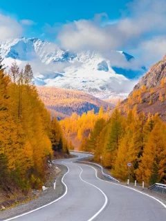 пейзаж, осень, лес, дорога, горы