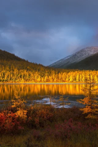 пейзаж, горы, лес, озеро, осень