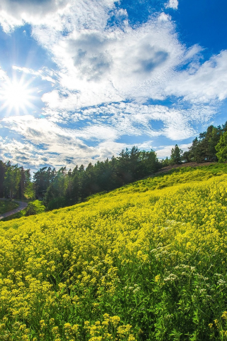 пейзаж, природа, красота