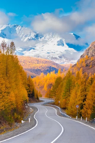 пейзаж, осень, лес, дорога, горы