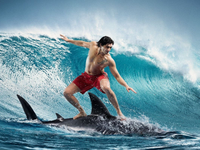 мужчина, волна, сёрфинг на акуле