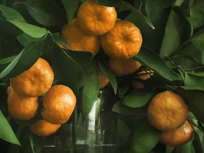 мандарины, листья