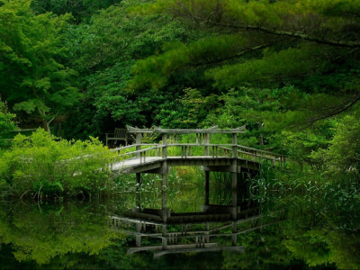 озеро, мостик, трава, деревья