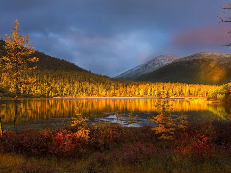 пейзаж, горы, лес, озеро, осень