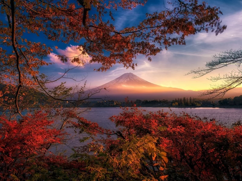 пейзаж, природа, красота
