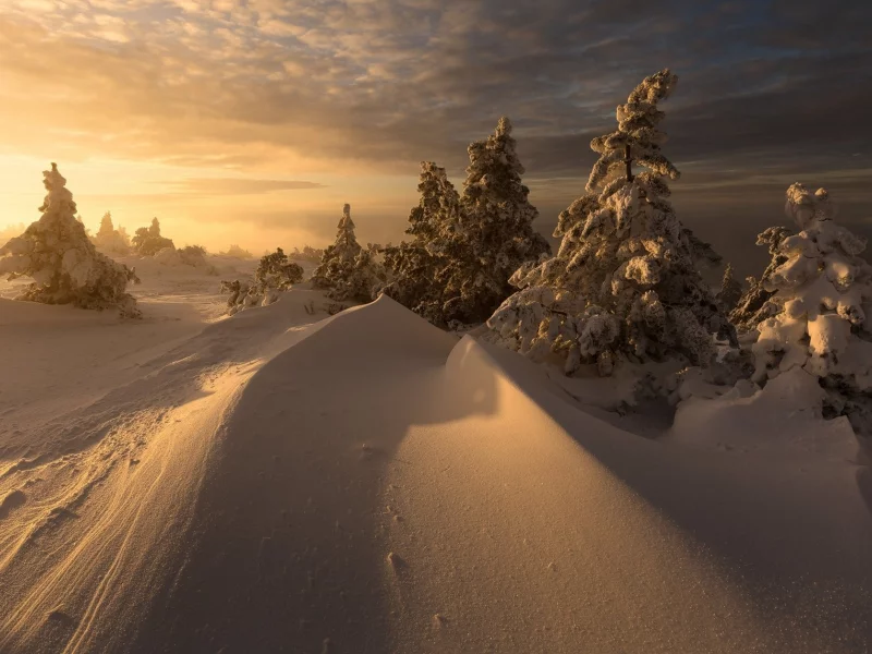 пейзаж, природа, красота