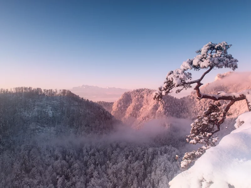 пейзаж, природа, красота
