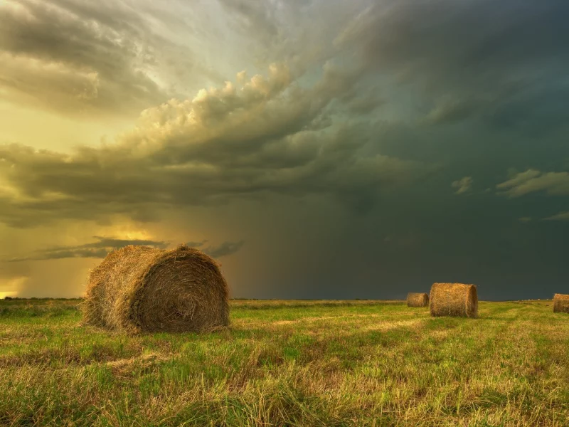 пейзаж, природа, красота