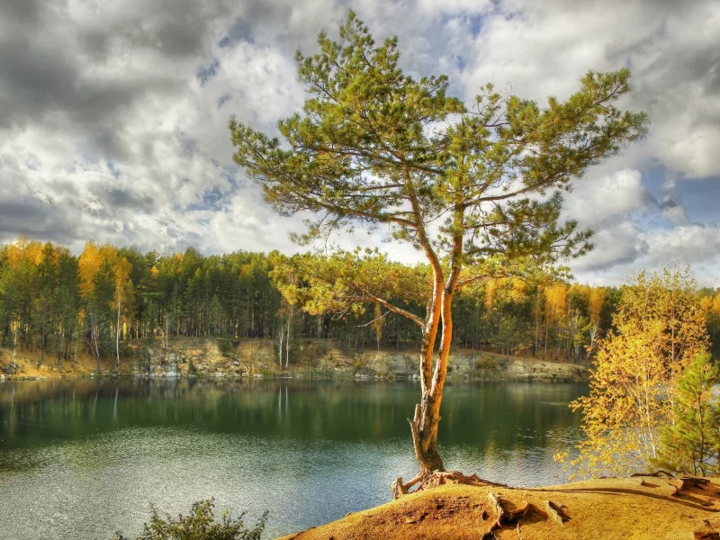 пейзаж, природа, красота