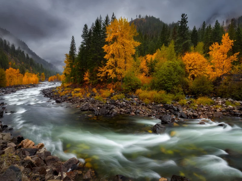 природа, лес, река, осень
