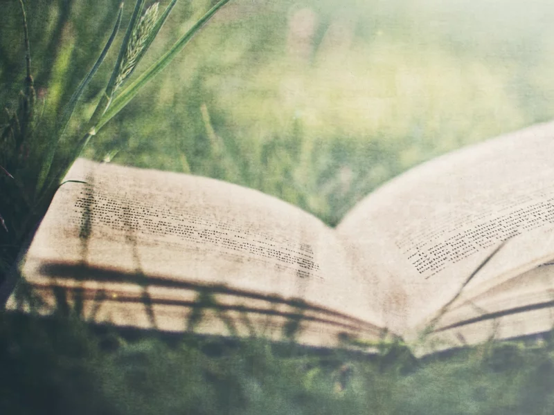 книга, в траве