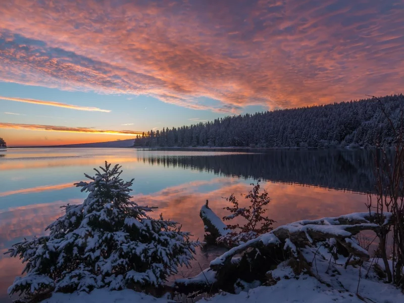 пейзаж, природа, красота