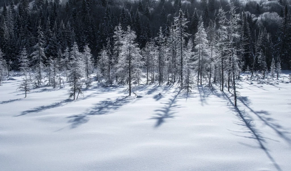пейзаж, природа, красота